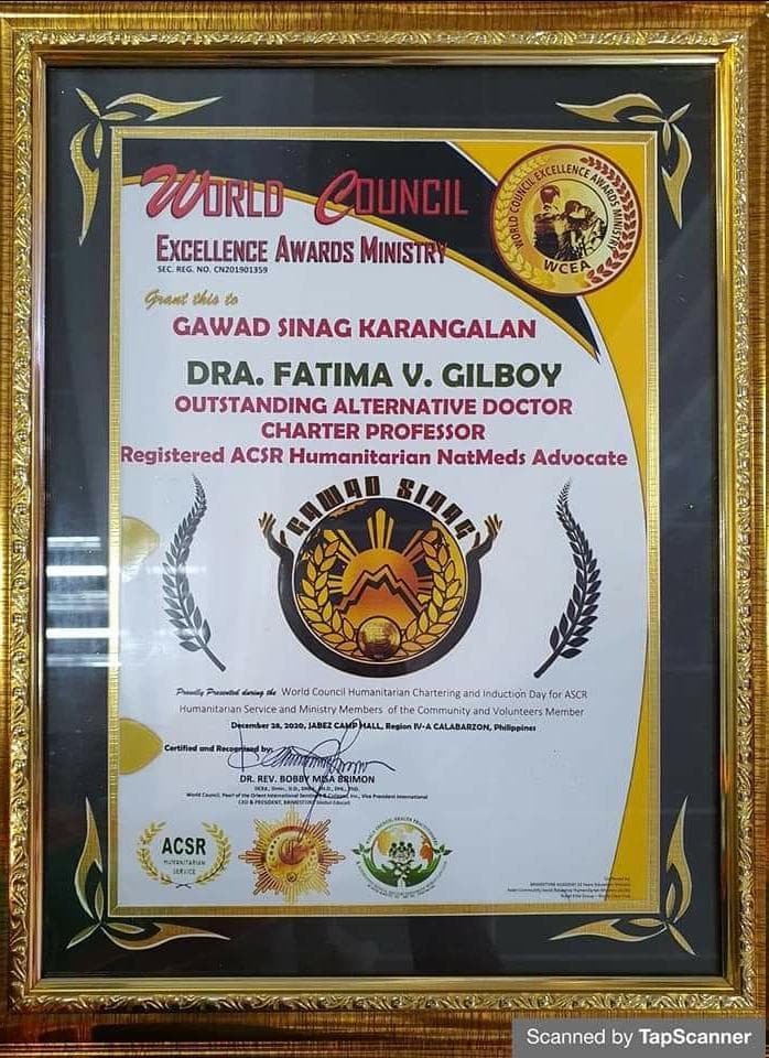 Gawad Sinag Karangalan — Outstanding Alternative Doctor Charter Professor